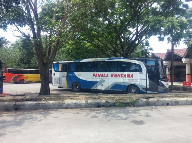 Foto - Kemenhub Siapkan Revitalisasi 40 Terminal Bus Tipe A di Jateng dan Yogyakarta