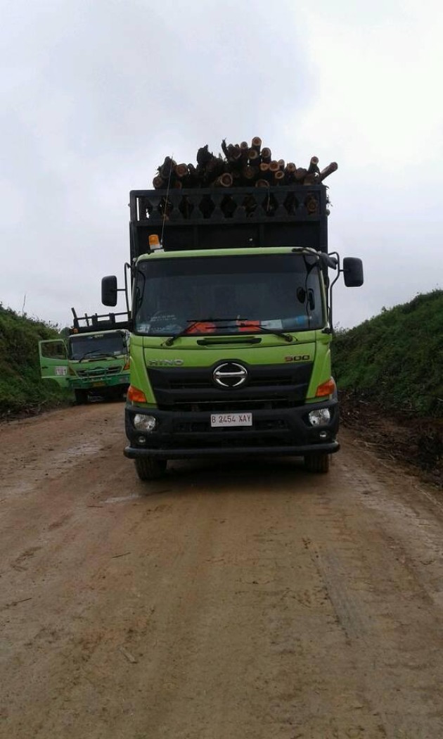 Foto - Rayakan Ultah Ke-35 Tahun, Pangsa Pasar Hino Meroket di Indonesia