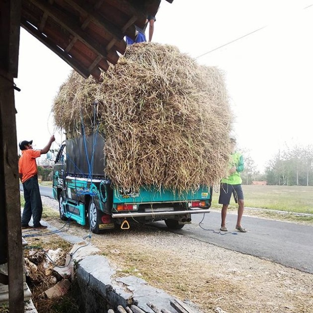 Foto - Mitsubishi L300 (2) Merajai Pasar Dengan Mesin Diesel