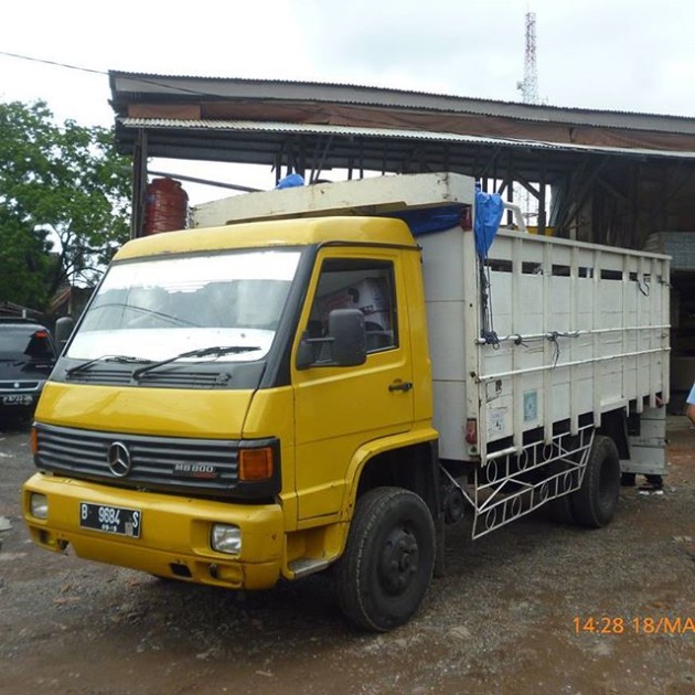 Foto - MB700 Dan MB800, Sempat Jadi Andalan Mercedes-Benz Untuk Tekuk Colt Diesel