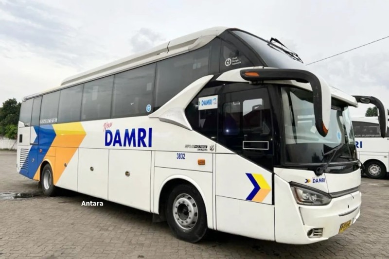 Kolaborasi Damri Dan Provinsi Lampung Rilis Unit Bus Bus And Truck