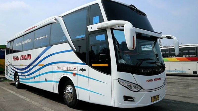 Po Pahala Kencana Buka Rute Semarang Bali Mulai Februari Bus