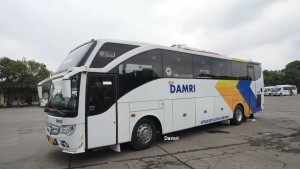 Ini Rute Damri Ke Gambir Dari Berbagai Wilayah Provinsi Lampung