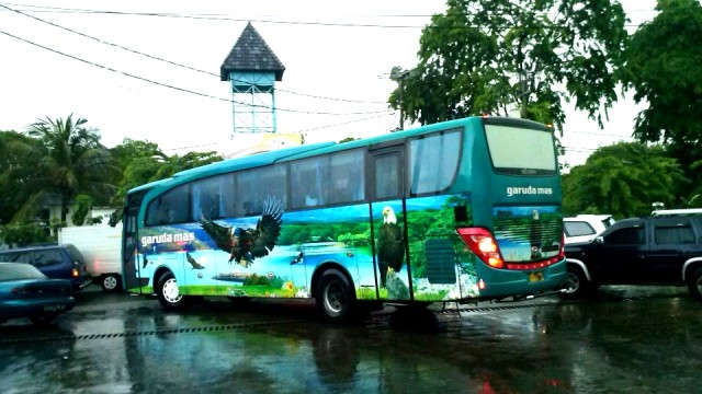 Bus Garuda Mas Tambah Jam Keberangkatan, Kini Tersedia Pagi