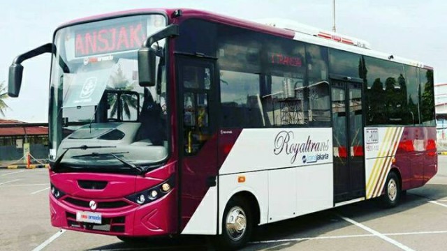 Bus Royaltrans Akan Mulai Beroperasi Akhir Tahun 2017
