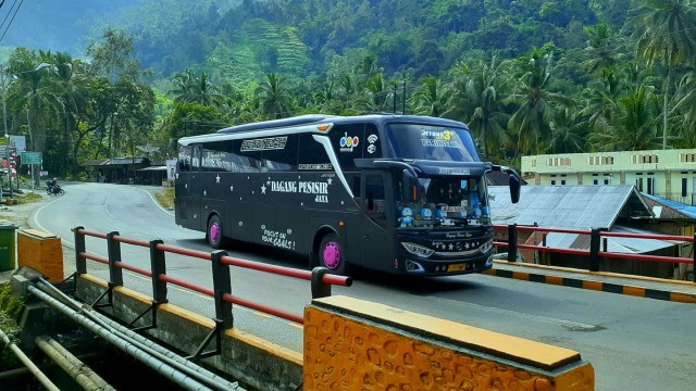 Bus-Bus Sumatra Barat Makin Menggeliat, Banyak PO Baru
