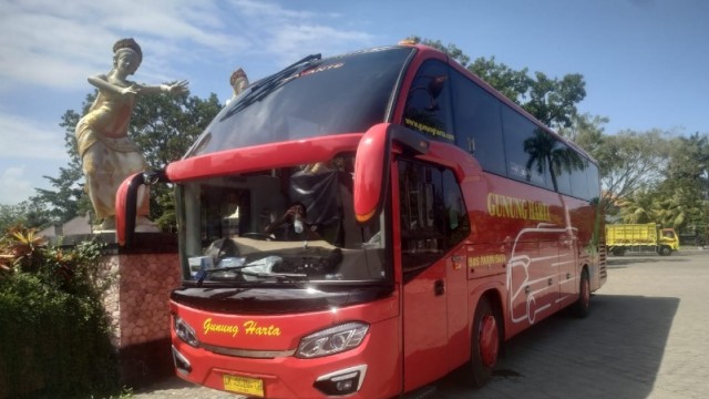 PO Gunung Harta Hadirkan Bus Denpasar-Probolinggo via Jember