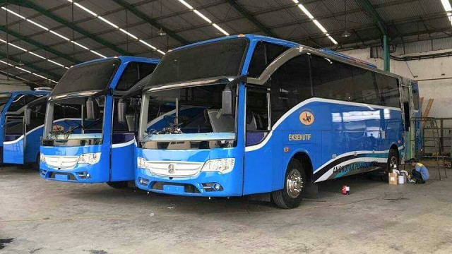 Wow, Damri Segera Luncurkan 100  Bus Baru, 60 Persen untuk Angkutan Bandara