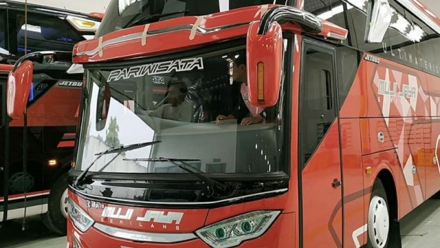 PO Muji Jaya Borong Bus Baru Untuk AKAP dan Pariwisata