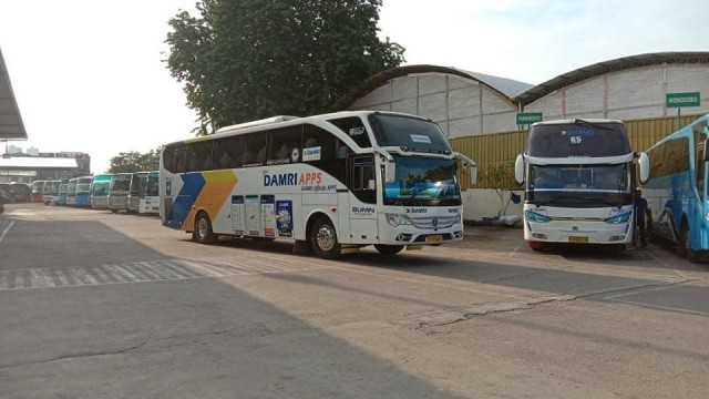 Damri Jajaki Jadi Operator Bus Haji di Arab Saudi